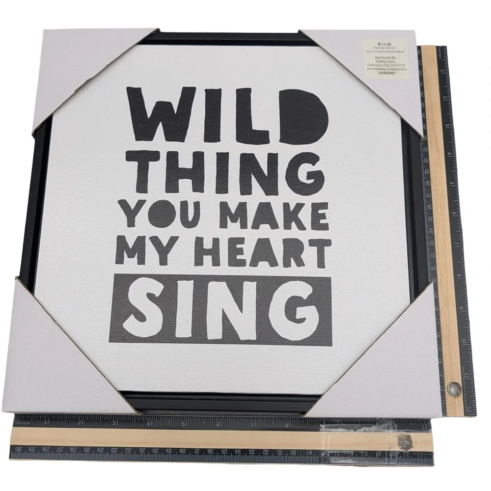 Hobby Lobby Wild Thing Wall Decor Framed Canvas Art Black White 12x12 Nursery